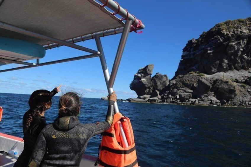 Coronado Island tour and swim with the sea lions 4