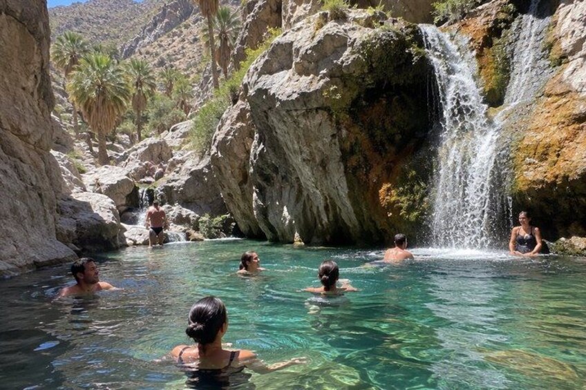 A natural hot spring with clear water, surrounded by rocky terrain and palm trees. 3