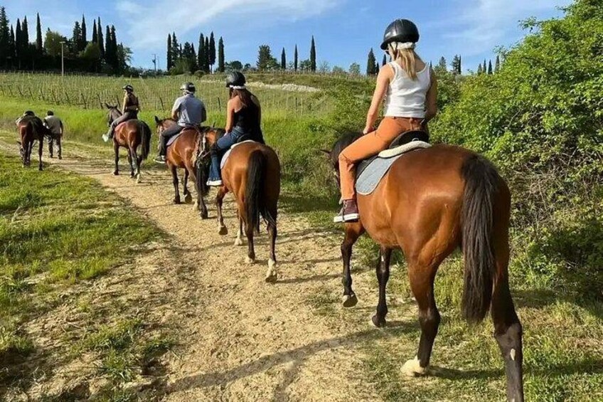 Horse Riding Activity Side 1