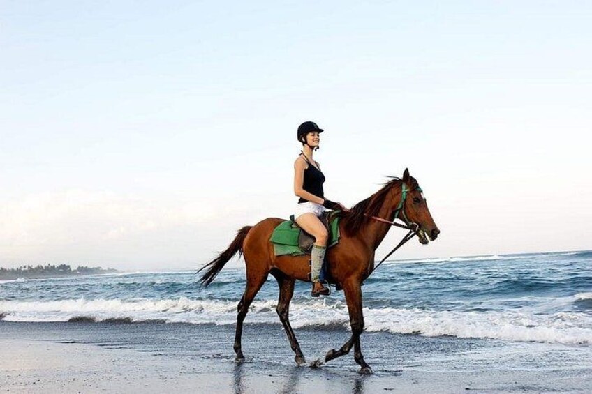 Une personne à cheval sur une plage, avec l’océan en arrière-plan. 5