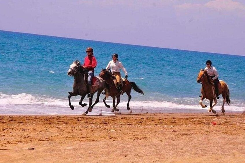 Horse Riding Activity Side 3