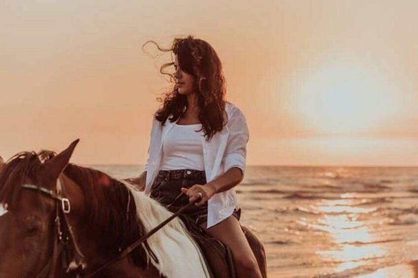 Une personne à cheval sur une plage au coucher du soleil. 3