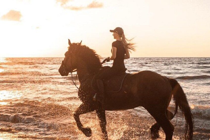 Horse Riding Activity Side 2