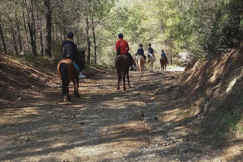 Horse Back Riding 5