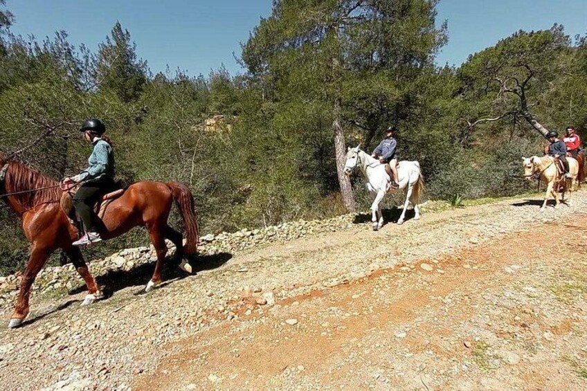 Horse Back Riding 4