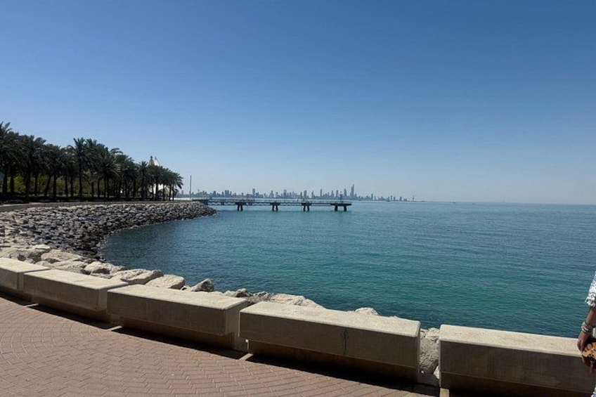 A waterfront promenade with a stone railing, palm trees, and a distant city skyline. 1