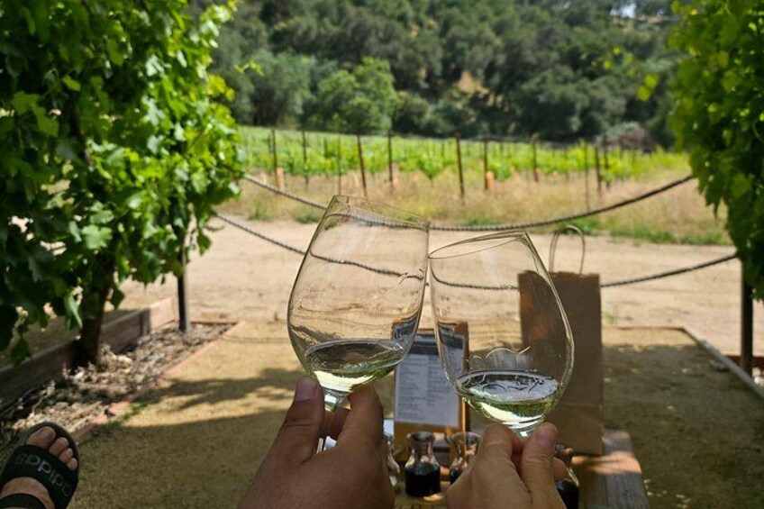 Viñedo con hileras de vides y una mesa de madera con una botella y copas. 2