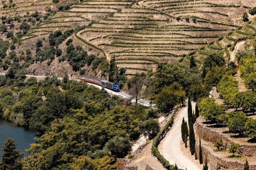 A train on tracks, surrounded by terraced vineyards and trees. 3