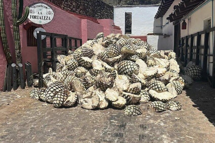 Un mucchio di ananas in un ambiente esterno, con un edificio con la scritta 'LA FORTALEZA' sullo sfondo. 1