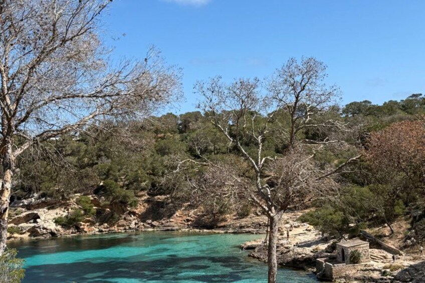 A clear turquoise river, rocky terrain, and sparse trees. 1