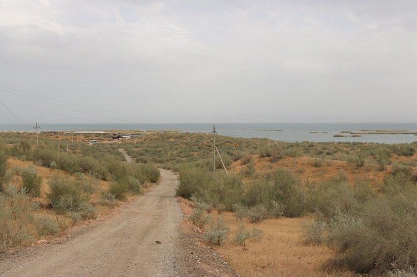 2 Day Aydar Lake Yurt Camping Tour from Samarkand 2