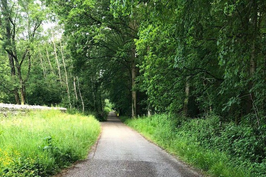 Eine schmale, asphaltierte Straße, gesäumt von dichtem Grün. 3
