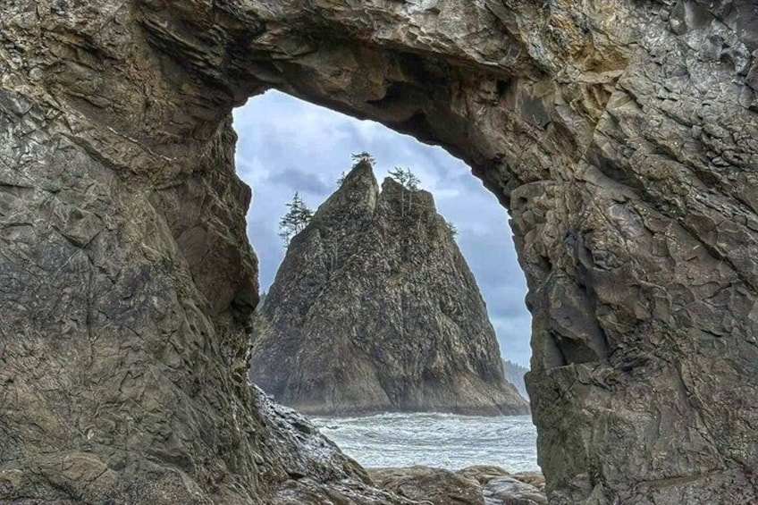 From Seattle Private Hoh Rain Forest and Rialto Beach Tour 2