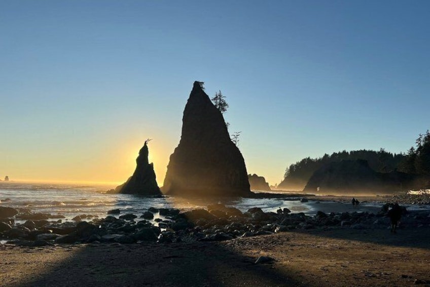 From Seattle Private Hoh Rain Forest and Rialto Beach Tour 5