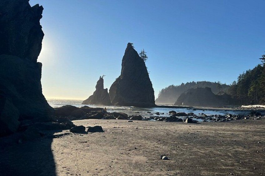 From Seattle Private Hoh Rain Forest and Rialto Beach Tour 5
