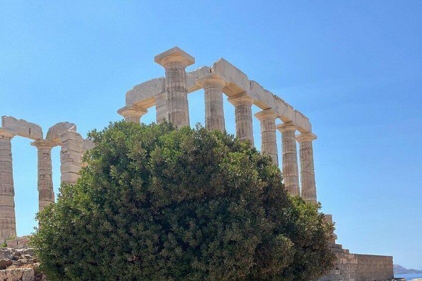 Ancient Greek columns with a tree in the foreground. 3