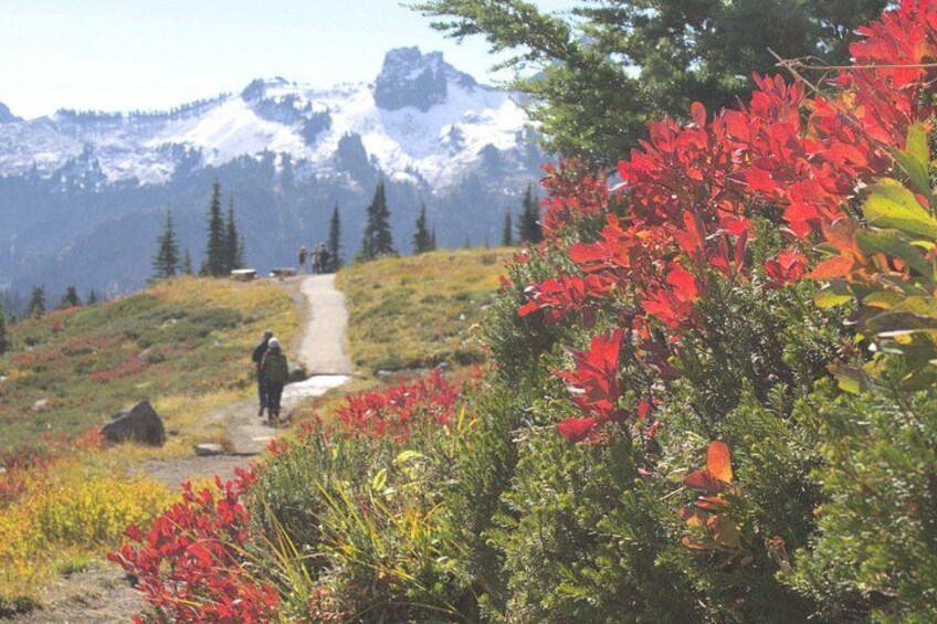 A hiking trail in a mountainous area with red flowers and snow-capped peaks in the background. 3