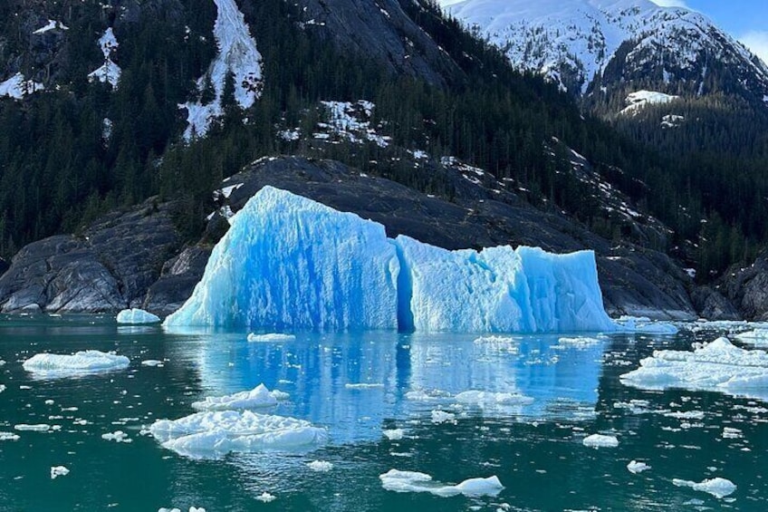 Wrangell Alaska Marine Sightseeing Tour 3