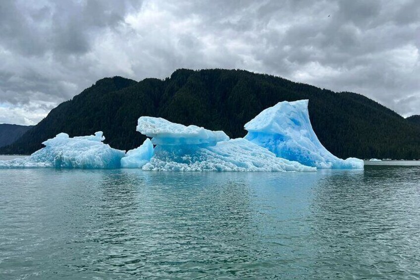 Wrangell Alaska Marine Sightseeing Tour 4