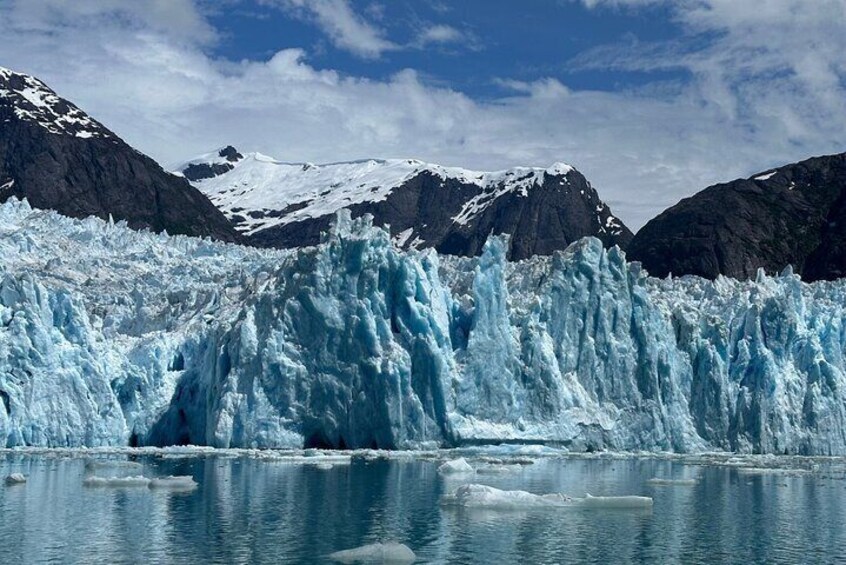 Wrangell Alaska Marine Sightseeing Tour 5
