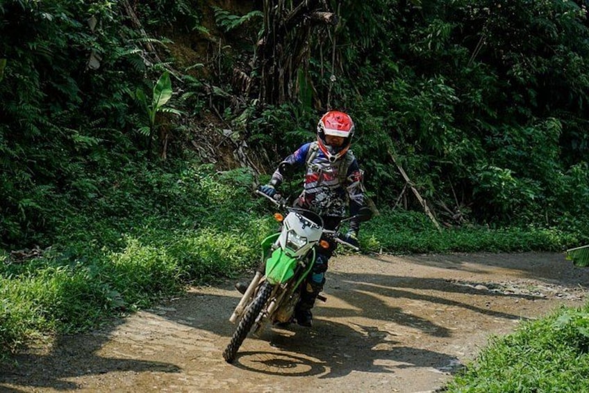A person on a green dirt bike in a forested area. 1