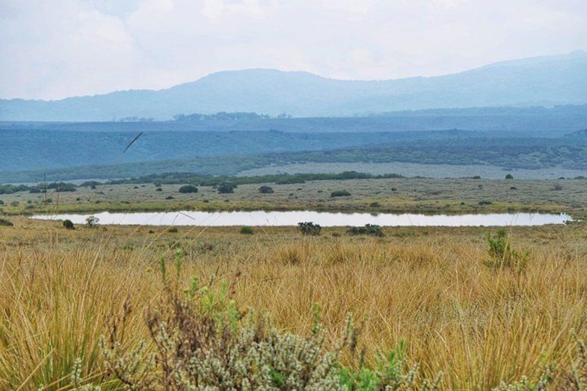 A flat landscape with a body of water, dry grass, and distant mountains. 3