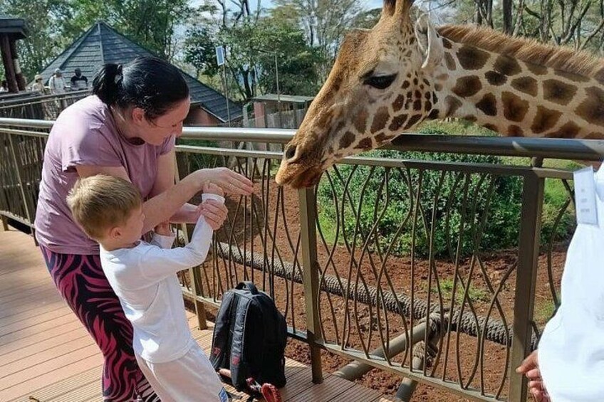 Nairobi Giraffe Centre Wildlife Encounter 3