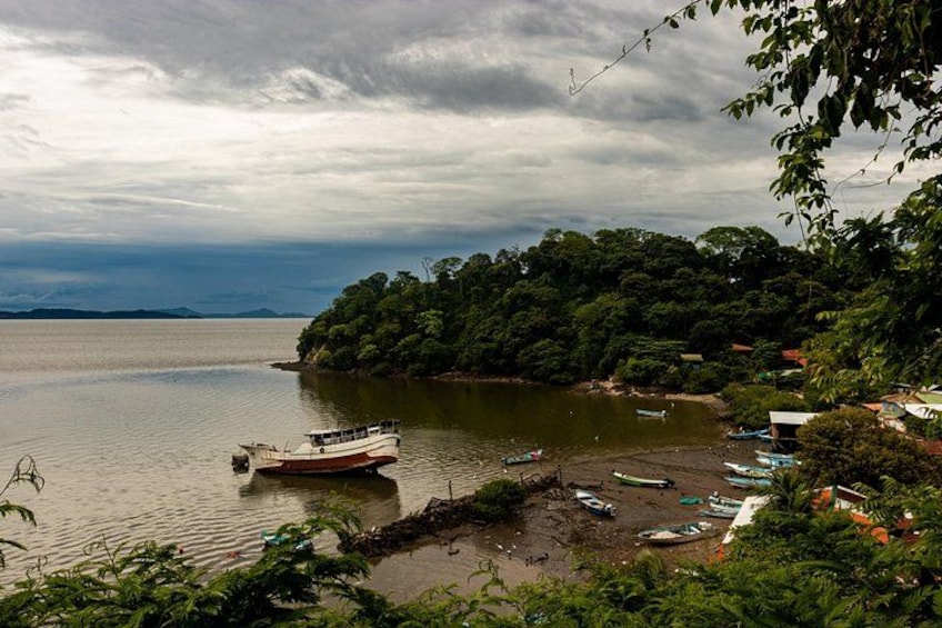 Un río con barcos, una isla boscosa y un cielo nublado. 4