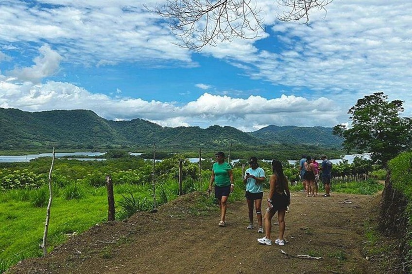 Un grupo de personas caminando por un sendero de tierra rodeado de exuberante vegetación y montañas al fondo. 5