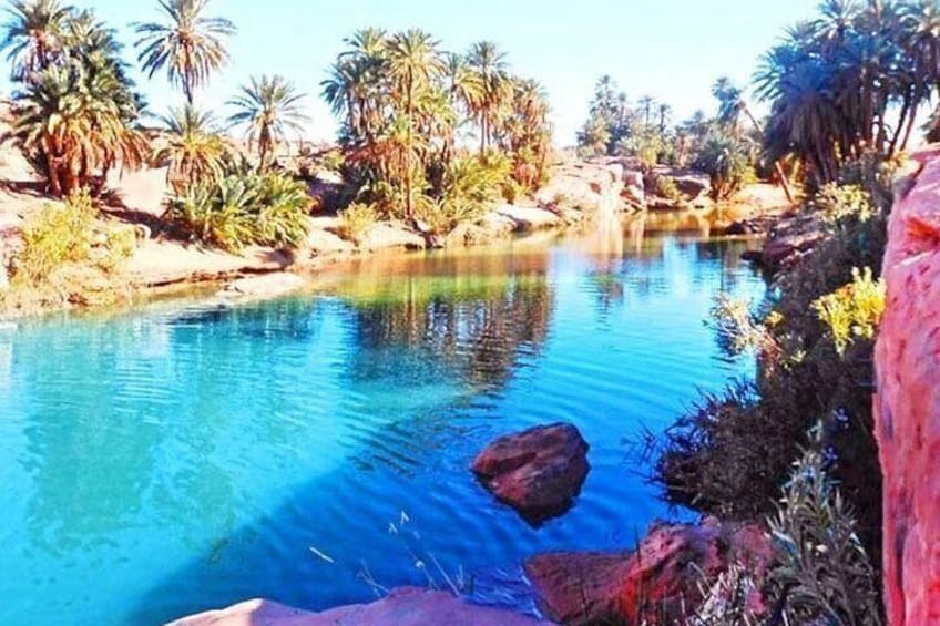 A clear blue pool surrounded by rocks and palm trees. 3