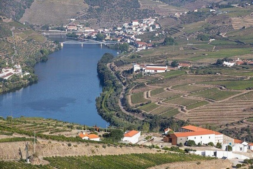 Quinta de Ventozelo 5
