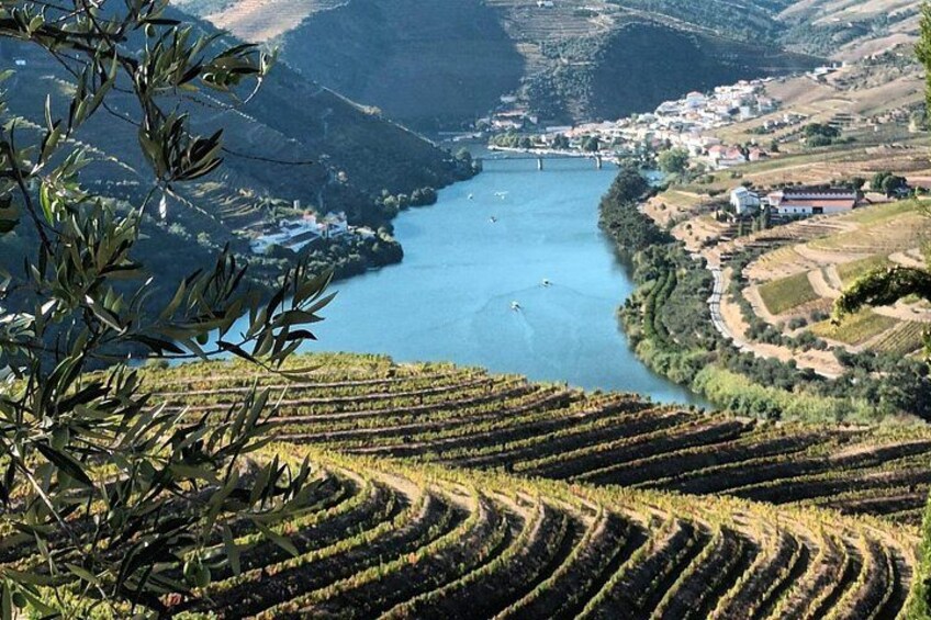 Village of Pinhão 1