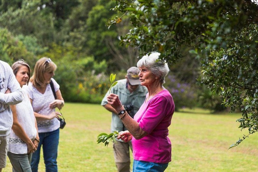 A person holding a plant in a park with others around. 3