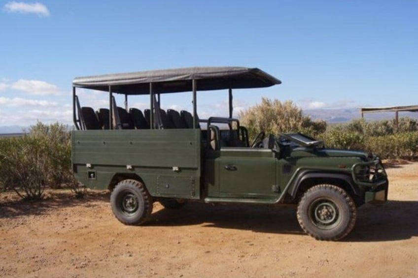 A green safari vehicle with a roof, parked on a dirt road. 2