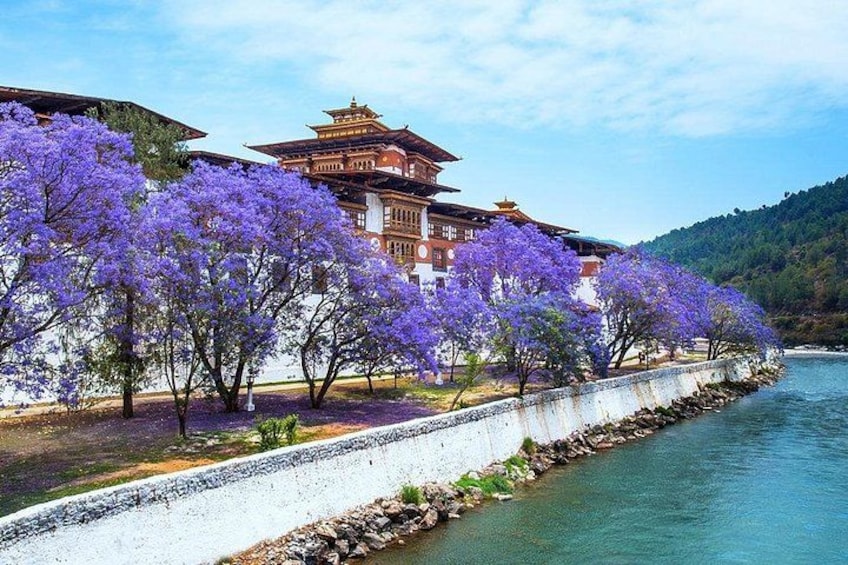 A river with purple trees, a traditional building, and a stone wall. 1