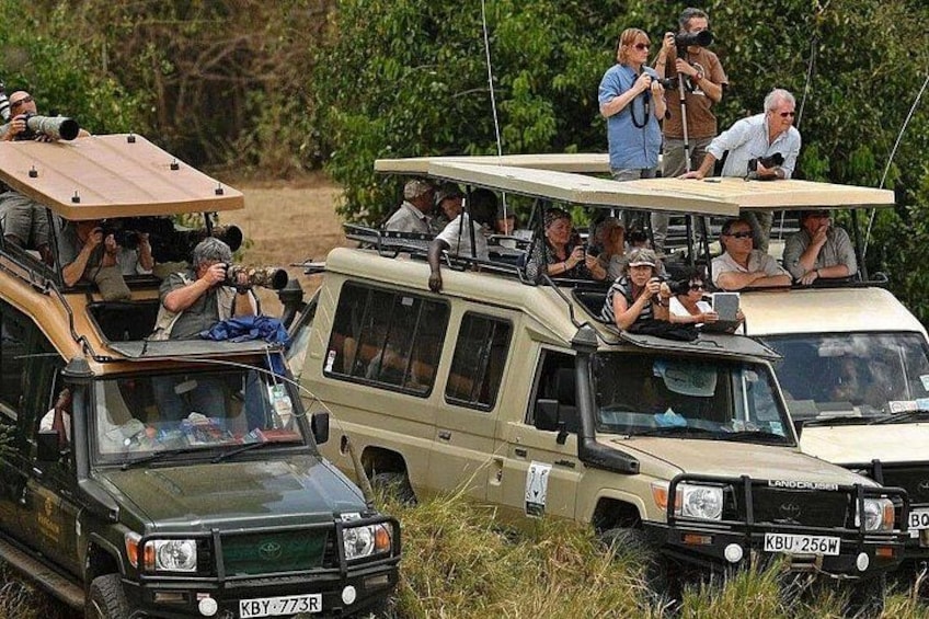 A safari vehicle with passengers and photographers. 1