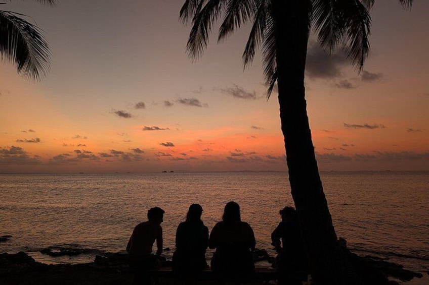 A sunset over the ocean with silhouettes of people and palm trees. 1