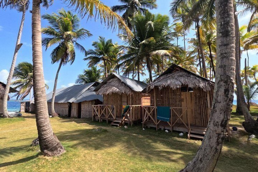 A tropical resort with thatched-roof huts, palm trees, and a clear view of the ocean. 2
