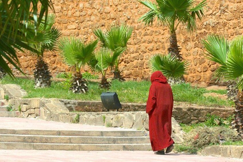 A person in a red robe walking on stone steps, palm trees, and a stone wall in the background. 5