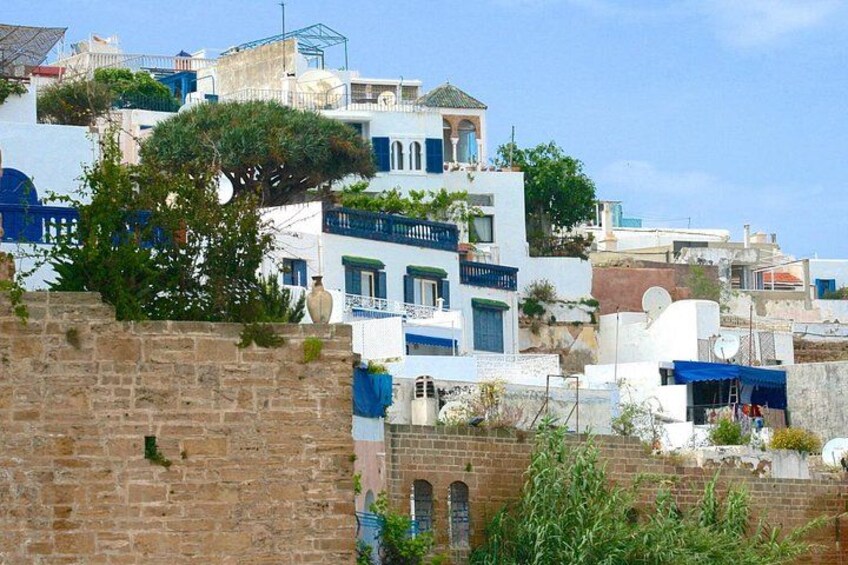 A coastal town with white and blue buildings, a stone wall, and a tree. 4
