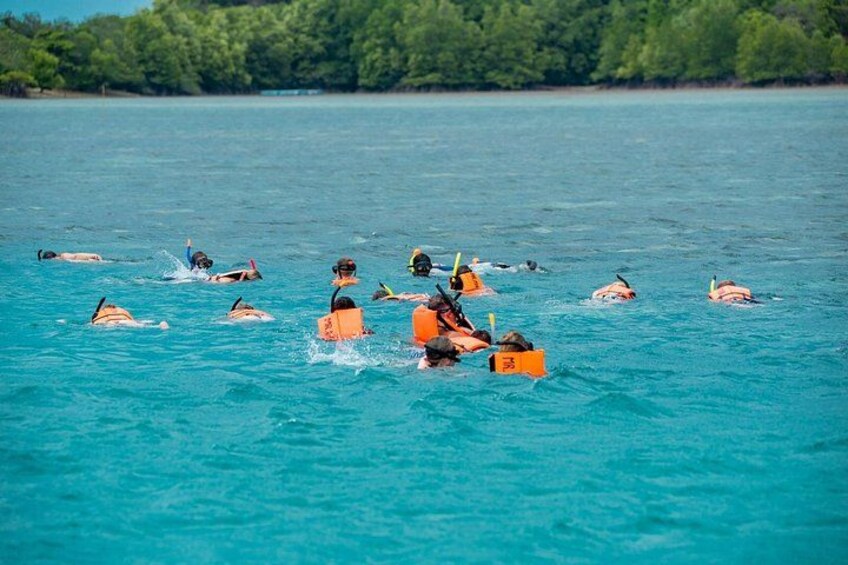 Personas nadando en un mar azul cristalino con árboles al fondo. 5