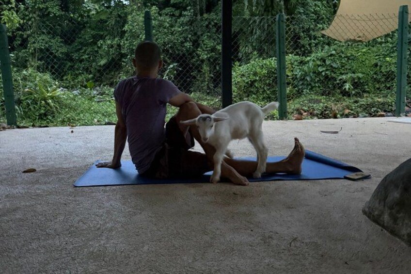 Une personne assise sur un tapis à l’extérieur, avec un chien. 3