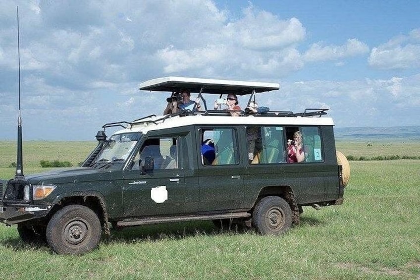 A safari vehicle with passengers, a clear sky, and a grassy field. 5