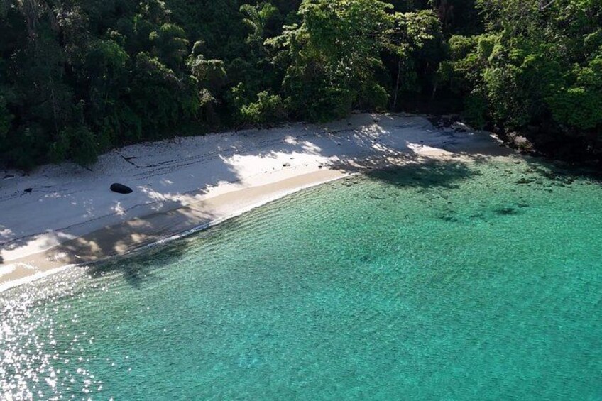 Grumixama Beach 2
