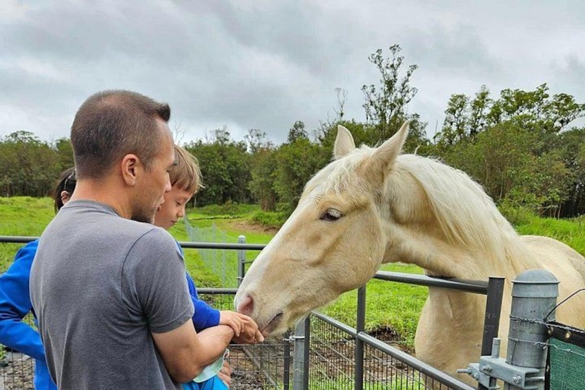 Ranch Tour & Animal Encounters 3