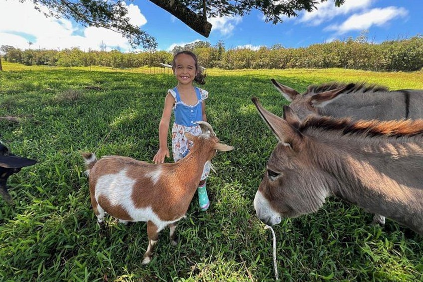 Ranch Tour & Animal Encounters 2