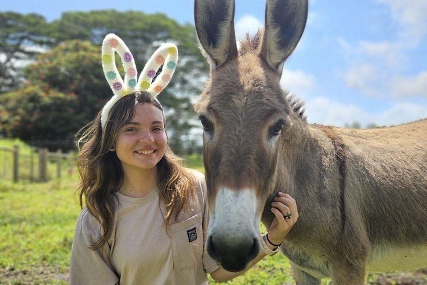 Ranch Tour & Animal Encounters 4