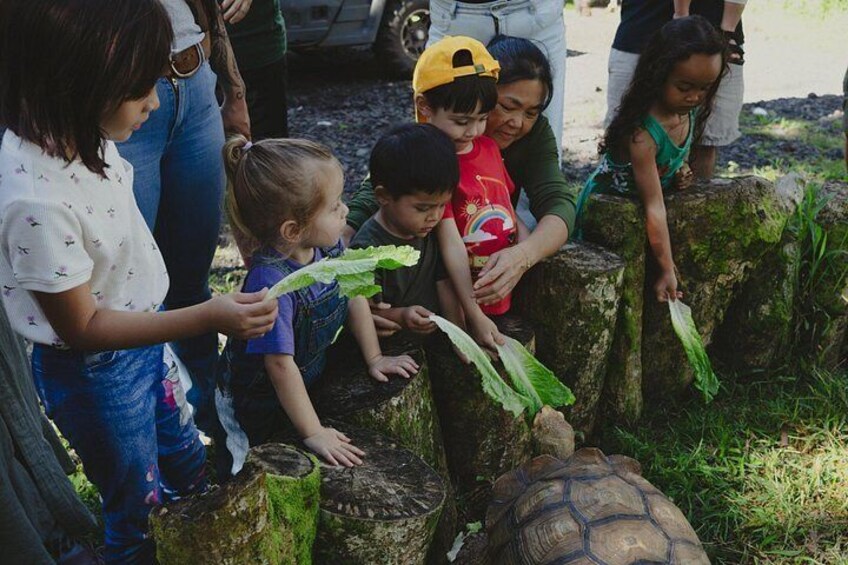 Ranch Tour & Animal Encounters 5