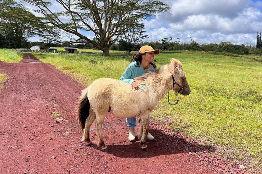 A dirt road, a person with a pony, and a tree in the background. 1