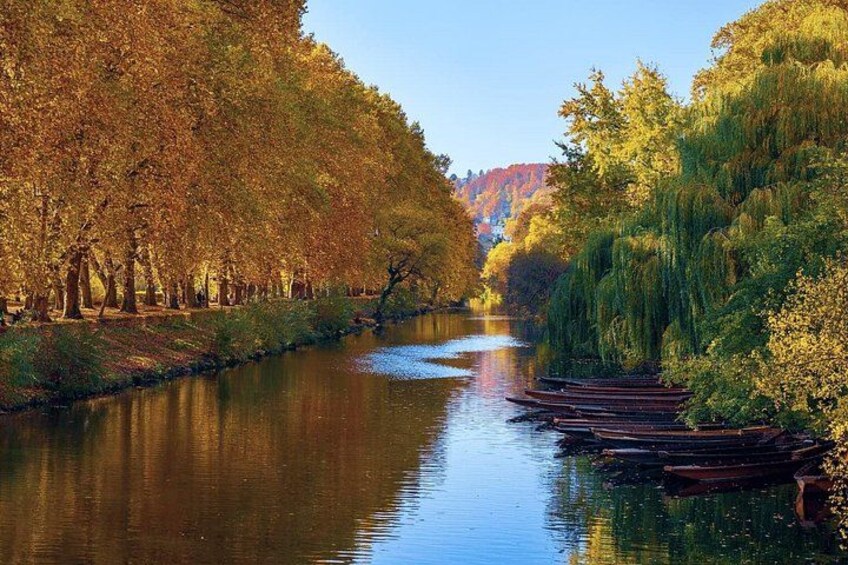 History and Quizzes Self-Guided Walking Tour in Tübingen 5
